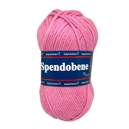 Spendo Bene Tropical Lane  misto lana gomitolo da 50gr 130 metri